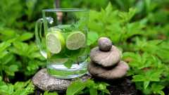 Why Your Detox Systems Matter