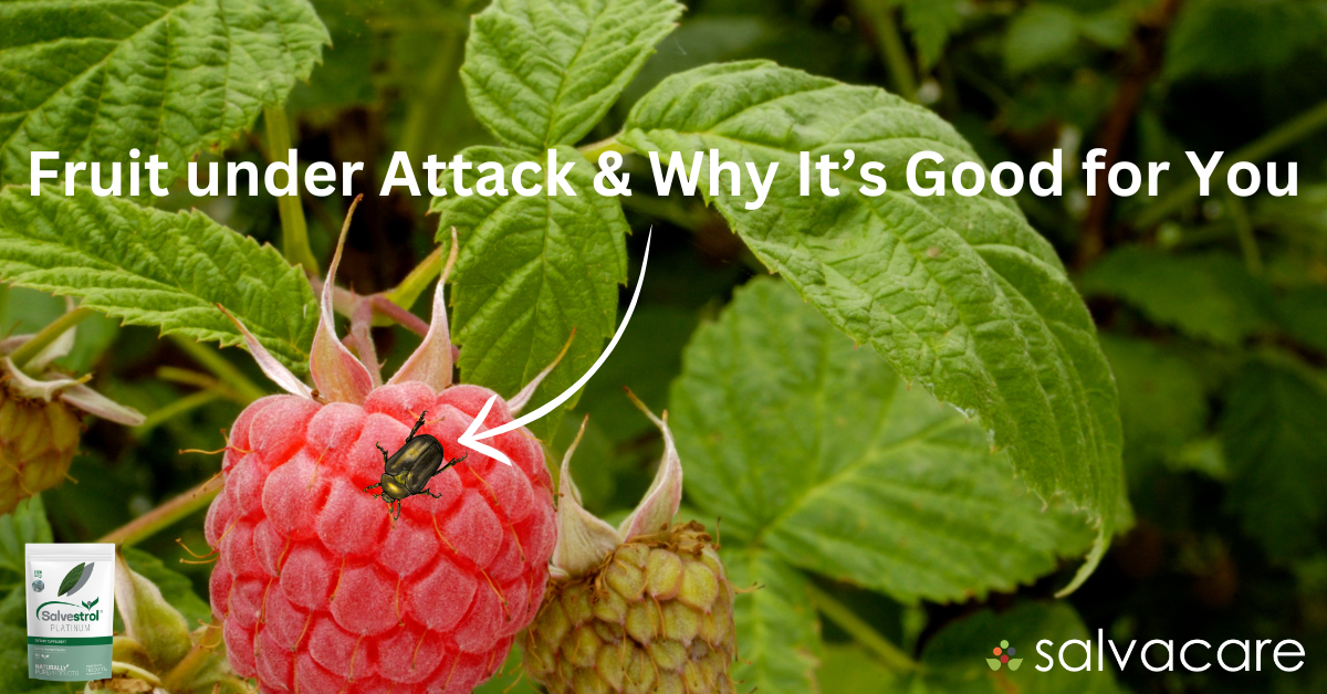 Your Fruit Is Under Attack. That's Exactly Why It's Good for You. And Why the Peeler in Your Drawer Might Be Undoing It.