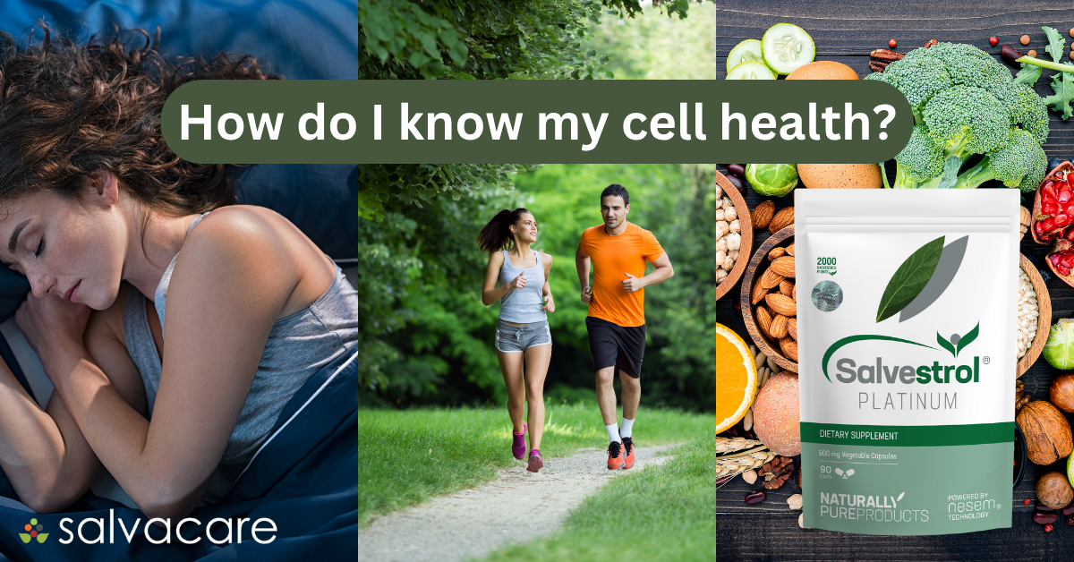 Your Cells Take a Beating Every Single Day. Here's What Actually Helps ...