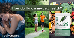 Your Cells Take a Beating Every Single Day. Here's What Actually Helps Them Keep Up.
