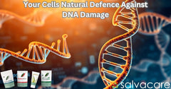 Your Cells Have a Natural Defence Against DNA Damage. Here's Why Most People Have Stopped Feeding It and How to Change That.