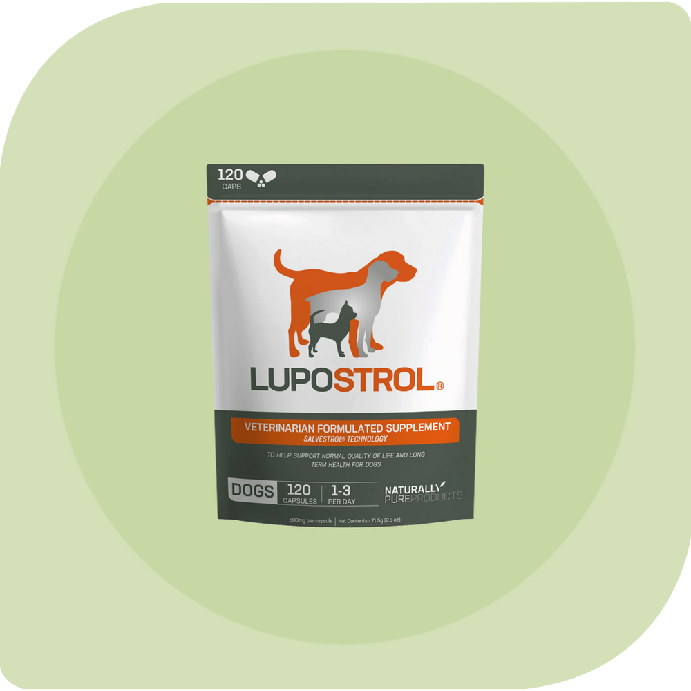 Dog-health & Nutrition - Lupostrol®